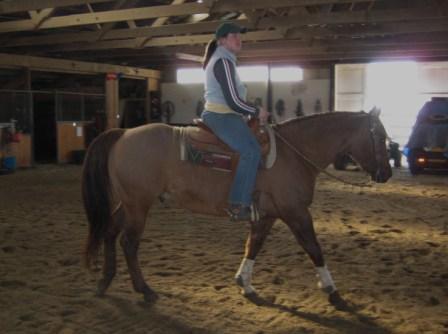 HollywoodStallion