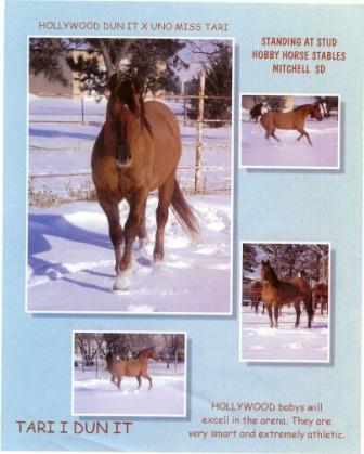 TariIDunItbrochure