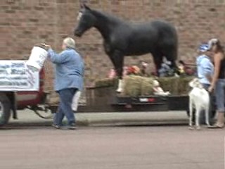 horse on float