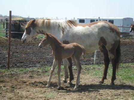 lacyfilly3